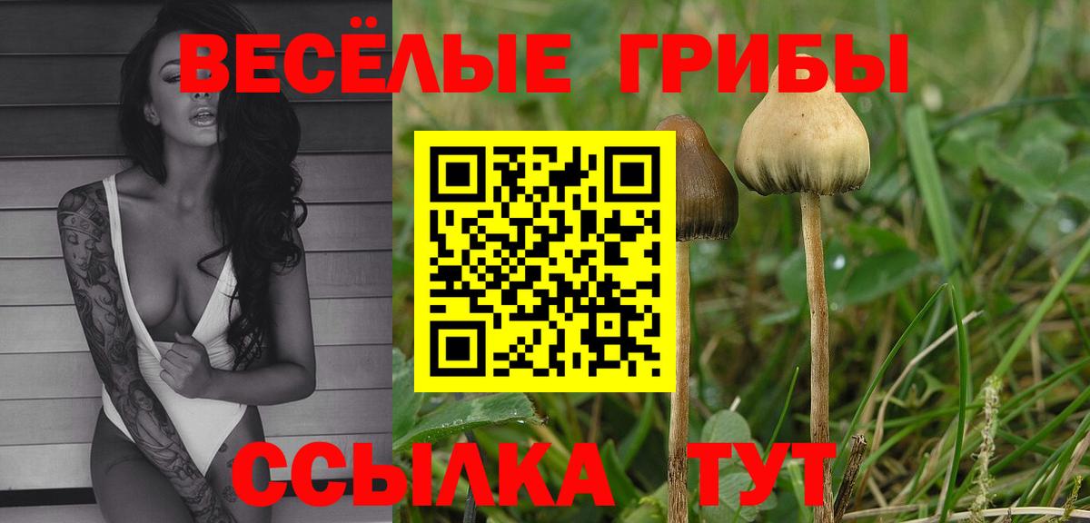 Псилоцибиновые грибы Magic Shrooms  Псилоцибиновые грибы Magic Shrooms  хочу наркоту  Вход с VPN  Шебекино 