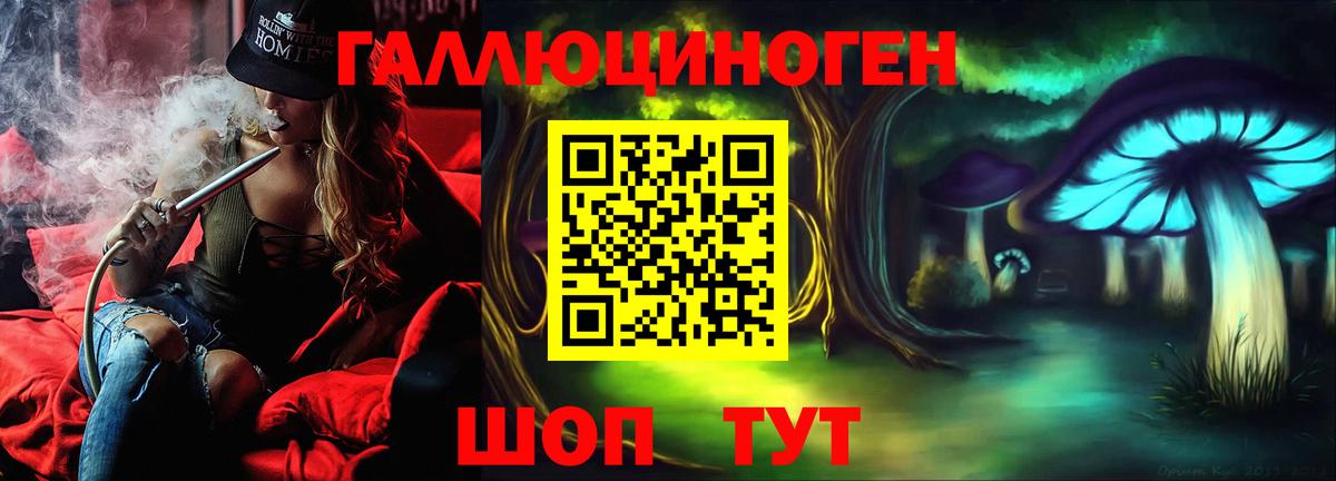 Псилоцибиновые грибы Psilocybe Шебекино