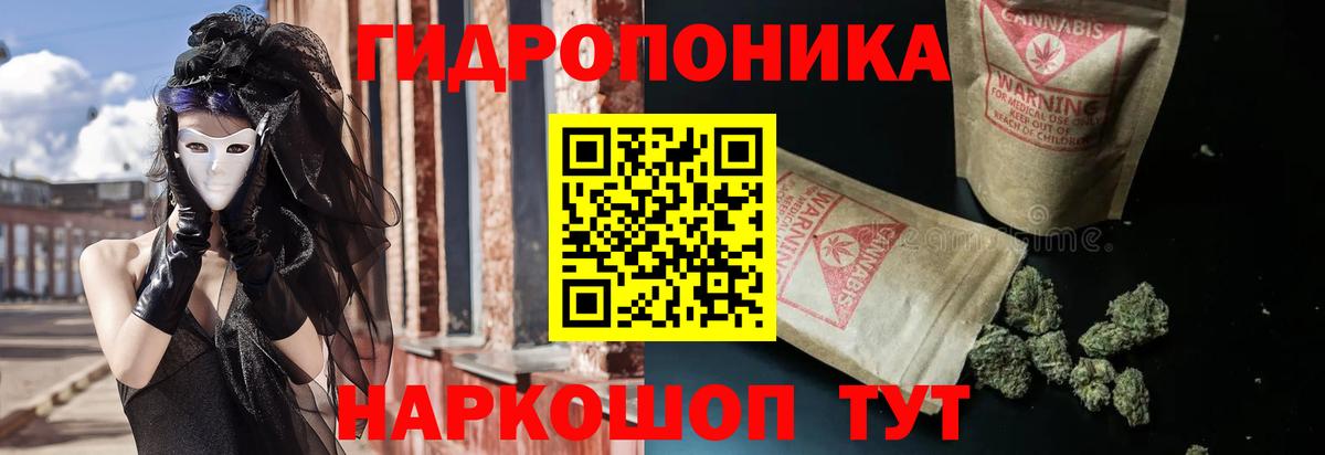 Канабис White Widow Шебекино